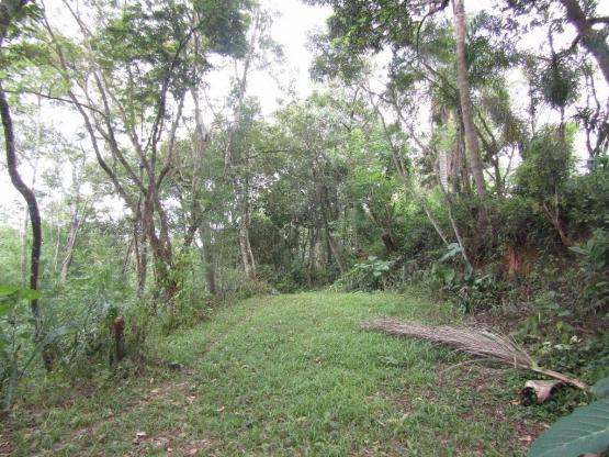 Galpão à venda, 1800 m² por R$ 1.900.000,00 - Jardim Santana - Mairiporã/SP - Foto 2