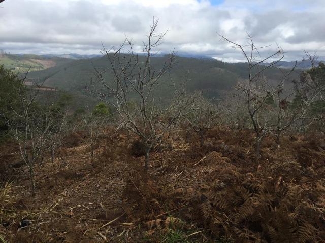 Ótima Propriedade em Aracê - Domingos Martins - Foto 19
