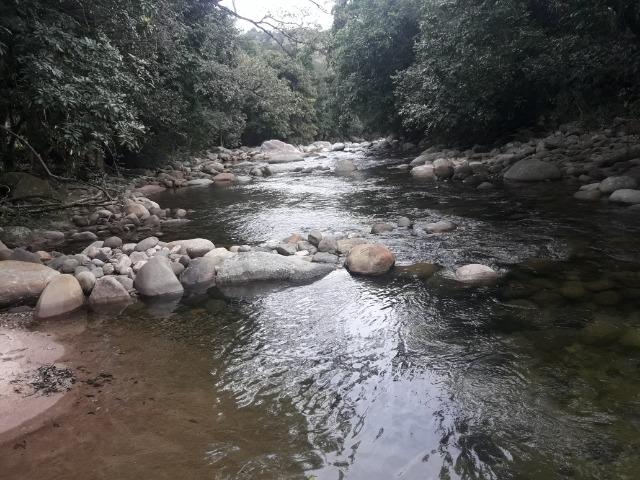 Jordão Corretores - Terreno ecológico Guapiaçu - Foto 9