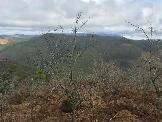 Ótima Propriedade em Aracê - Domingos Martins - Foto 13