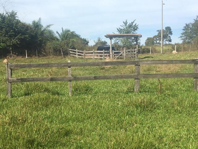 Sítio na Comunidade Carrijo à 60 Km do Trevo do Lagarto - Foto 13