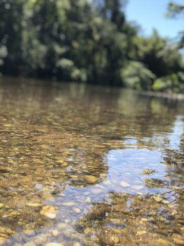 Chácara de Recreio - Foto 3
