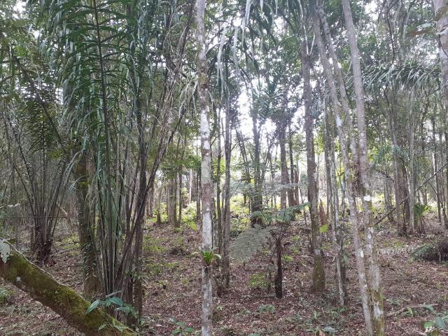 Chacara com 6,156 mts - Foto 18