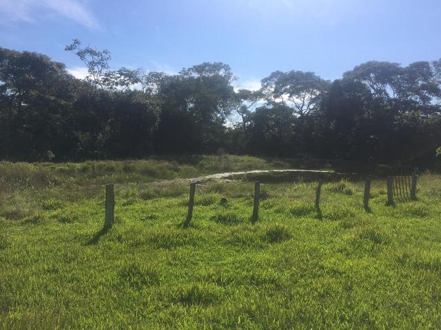 Sítio na Comunidade Carrijo à 60 Km do Trevo do Lagarto - Foto 7