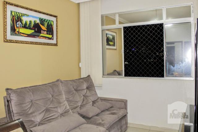 Apartamento à venda com 3 dormitórios em Havaí, Belo horizonte cod:258391 - Foto 2