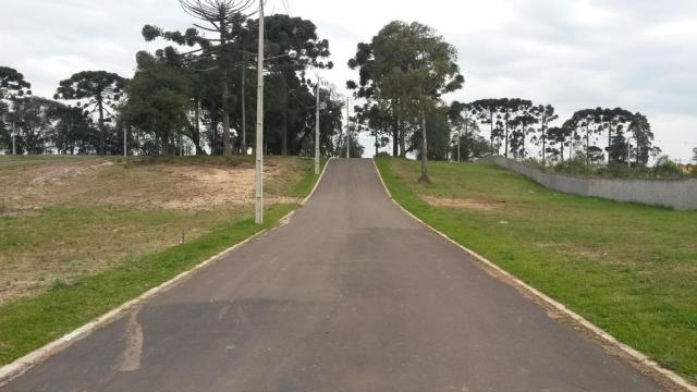 Loteamento/condomínio à venda em Cará-cará, Ponta grossa cod:71304 - Foto 2