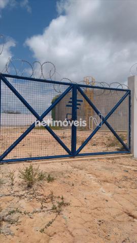 Sítio à venda em Arembepe, Camaçari cod:783794 - Foto 19