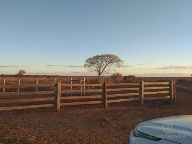 Fazenda à 98 km de guanambi | ba - Foto 2