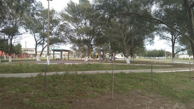 Casa Natal em Nova Tramandaí - Foto 7
