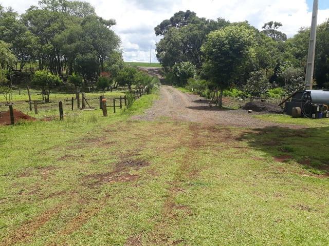 Linda Chácara 24.200 m2 ( 1 Alqueire) com 2 Casas - Palmas PR - Foto 3