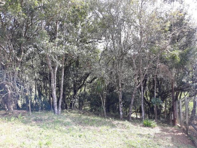 Chácara em Contenda - Urbana - Foto 10