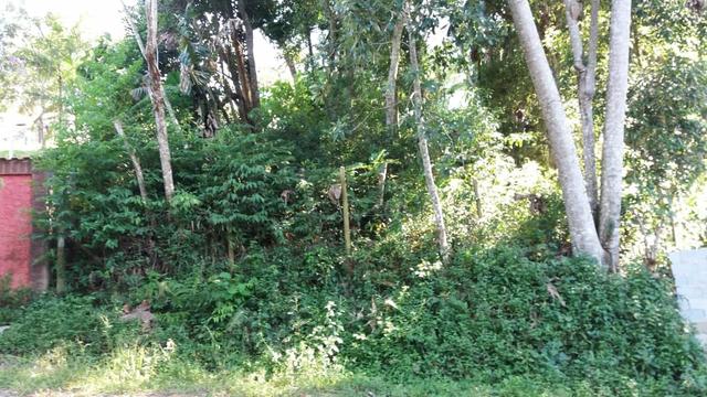 Terreno 1600M - Embu Guaçu - Foto 3