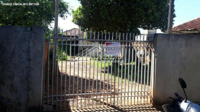 Terreno com Casa de Madeira Centro de Andradina/SP - Foto 2