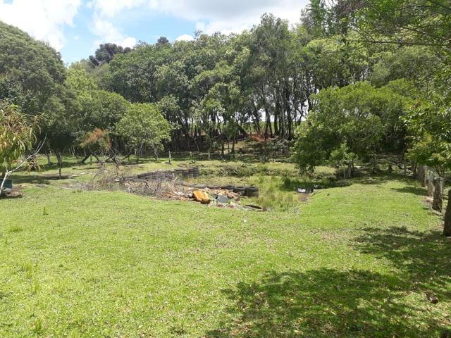 Linda Chácara 24.200 m2 ( 1 Alqueire) com 2 Casas - Palmas PR - Foto 18