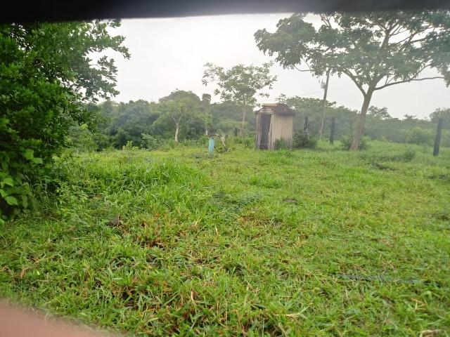 Fazenda próximo a BR 070 a 100km de Várzea Grande - Foto 9