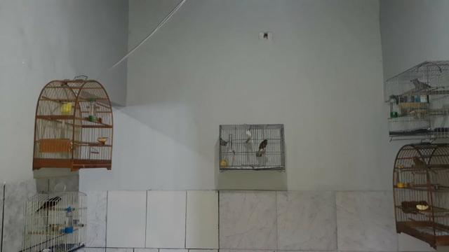 Casa de 3 Qts com dois barracos de 2 Qts na Qnn 21 Cj K Cs 42 - Foto 19