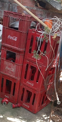 Caixa De Cola-Cola Seco