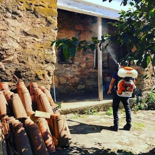 Dedetização e Desentupimento Inseto Fácil  - Foto 5