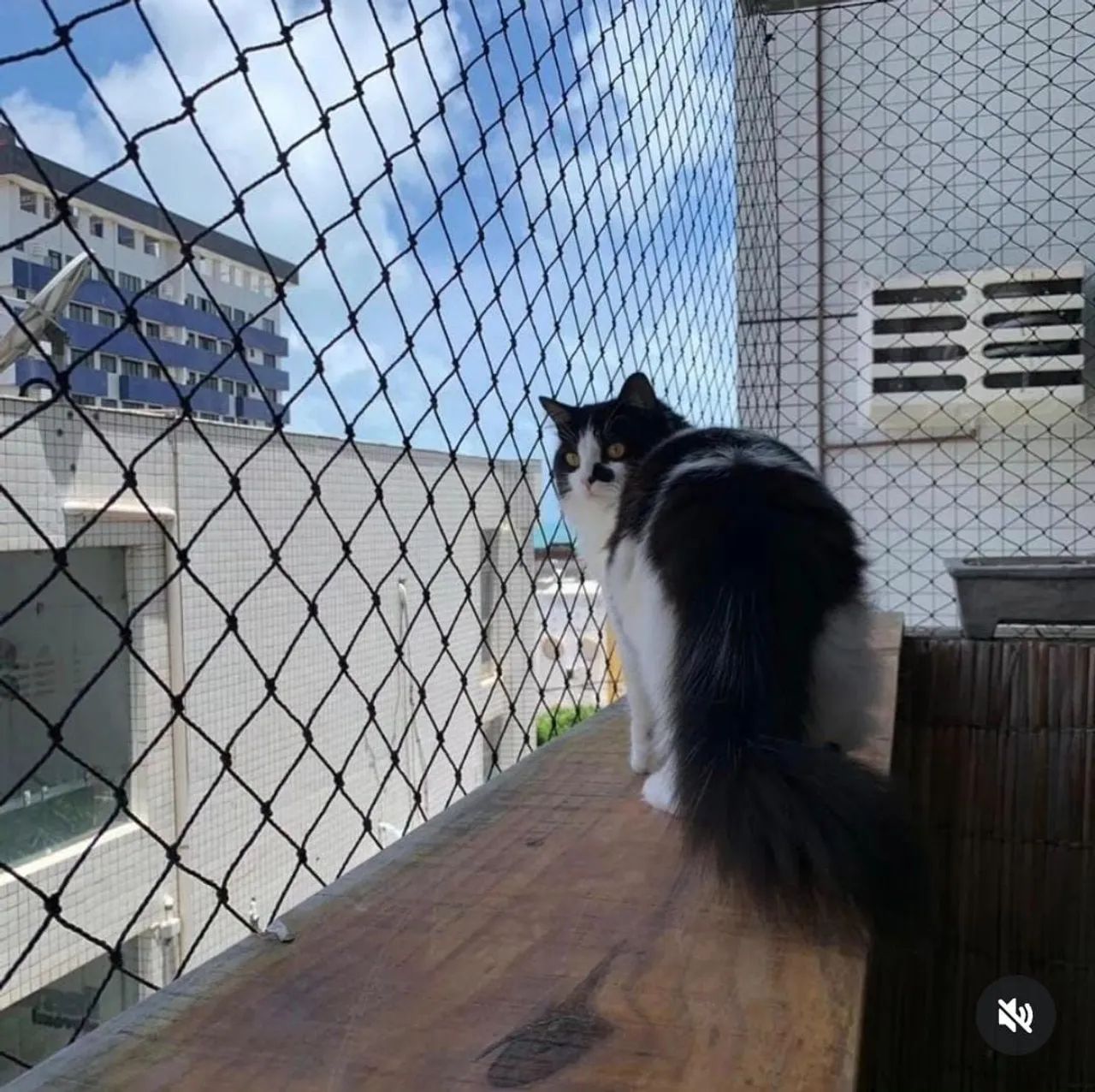REDES DE PROTEÇÃO. - Foto 2
