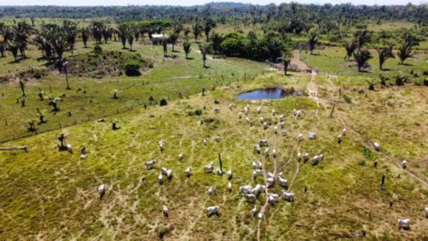 Vendo dois lotes no sul de Roraima.  - Foto 10