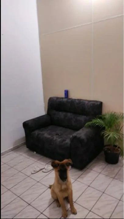 foto - Contagem - Granja Vista Alegre