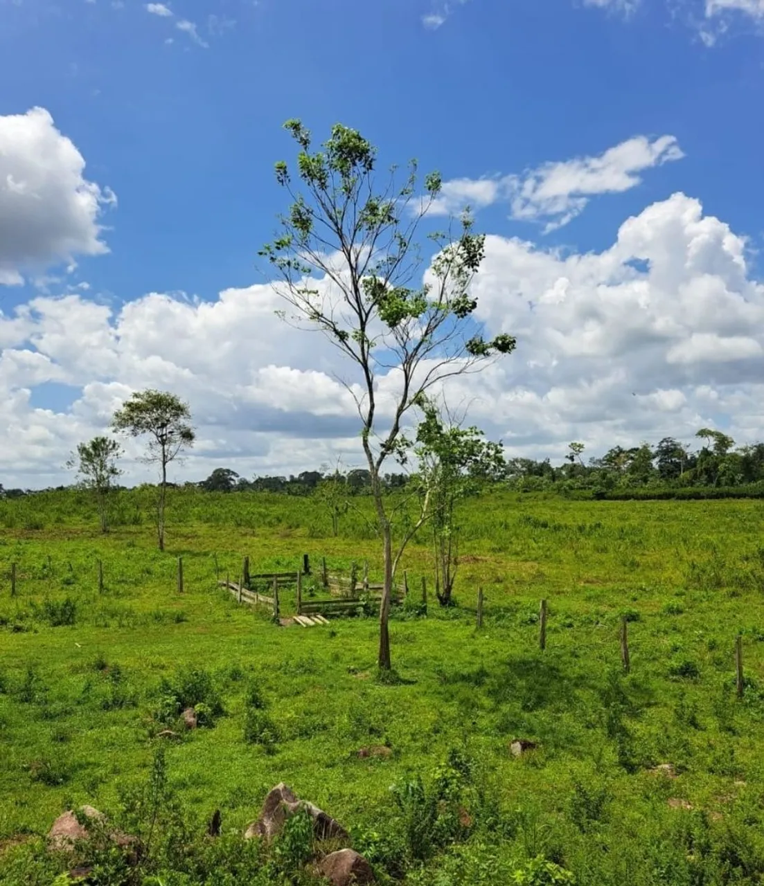 Oportunidade no Distrito Federal - Tenha seu Sítio, Rancho ou Chácara