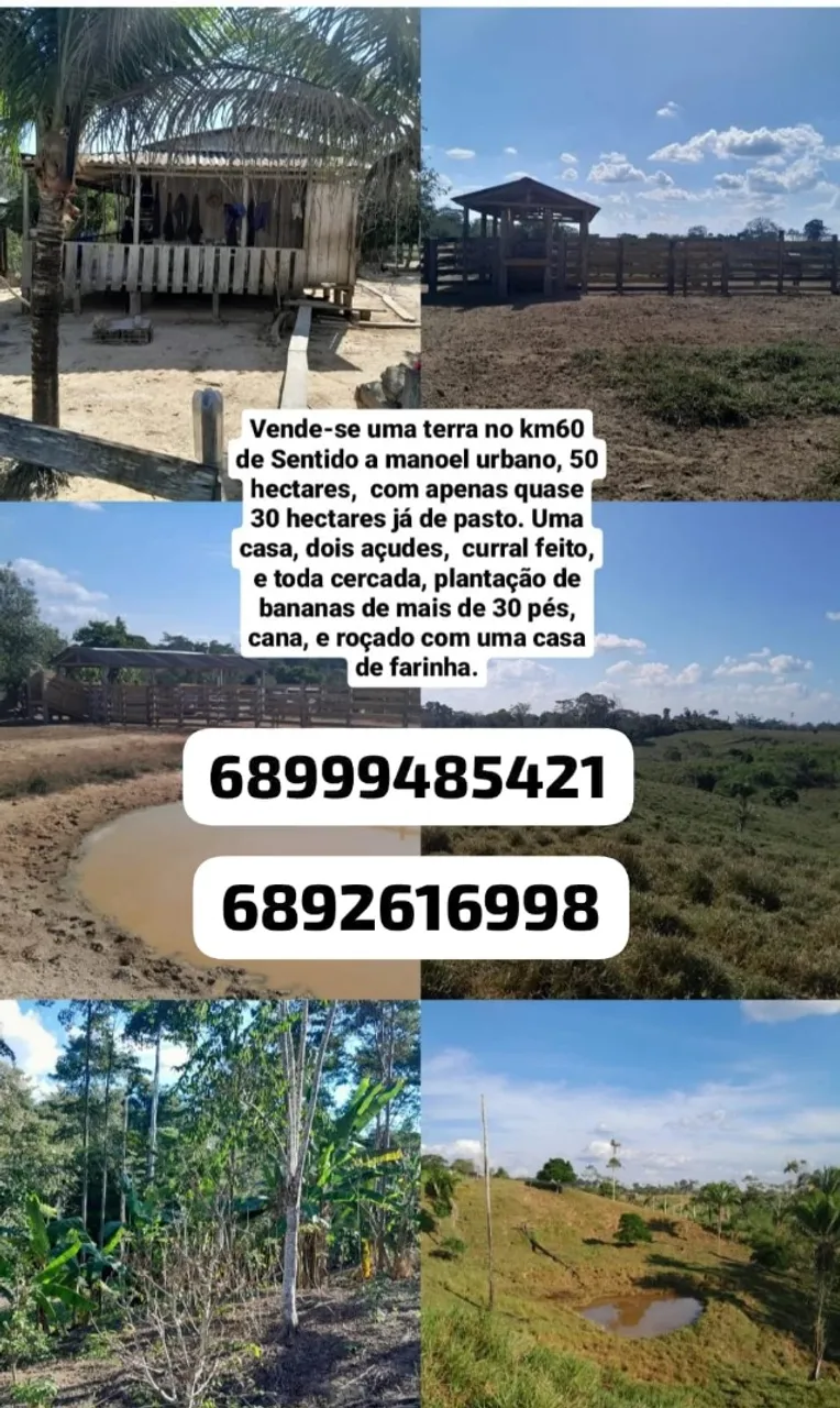 Colônia a venda