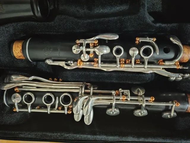 Clarinete Profissional Royal Global Firebird Bb - Preço Imperdível 