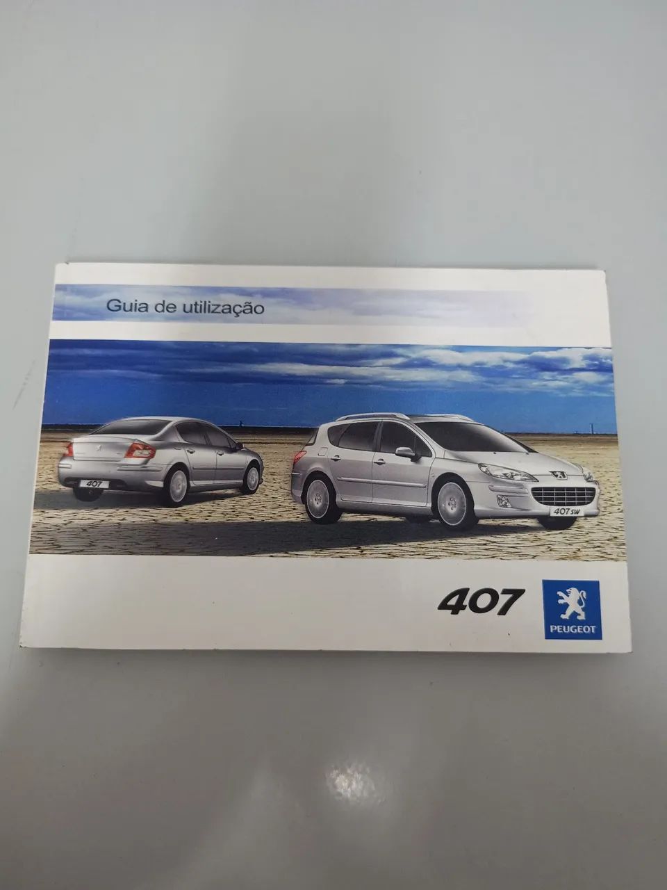 Manual Peugeot 407 
