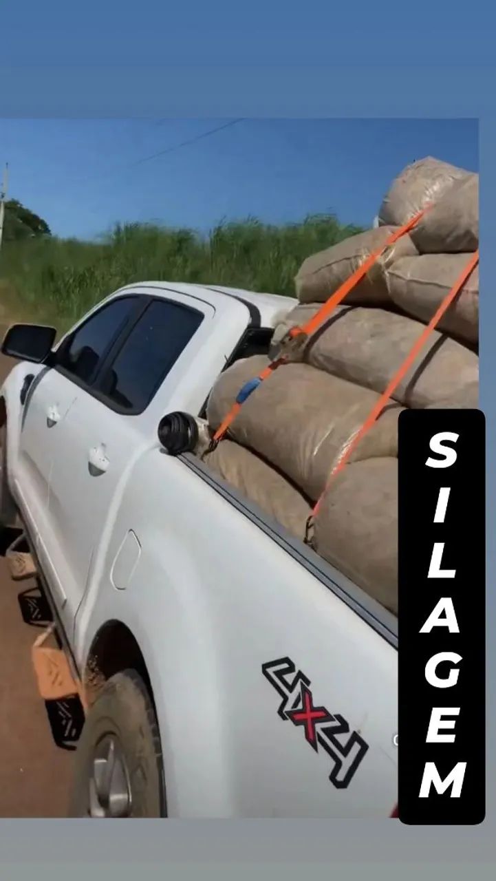 SILO SILAGEM DE MILHO DE ALTÍSSIMA QUALIDADE  - Foto 2