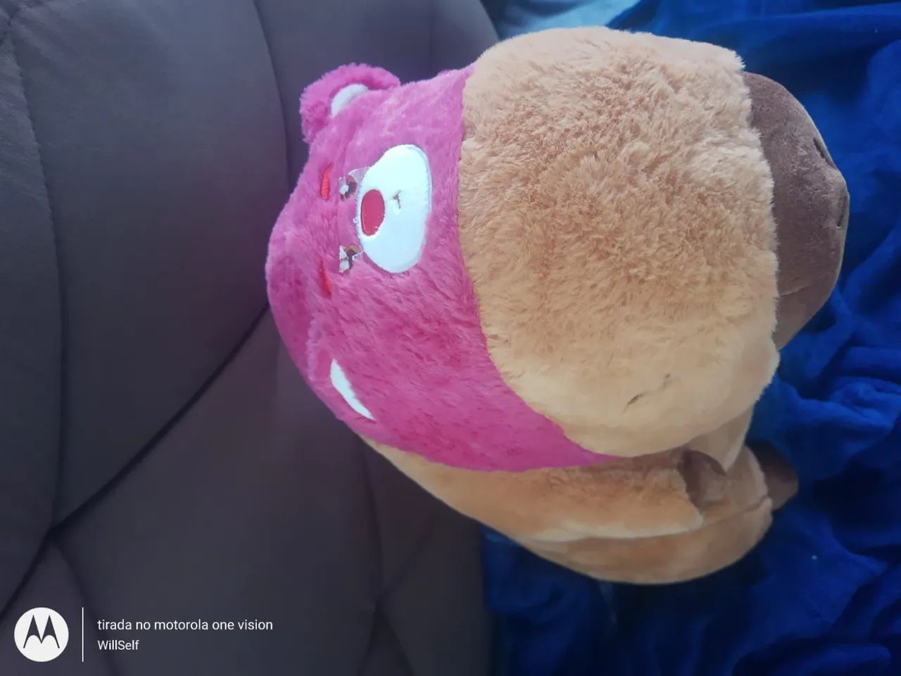 Pelúcia Capivara - Foto 2