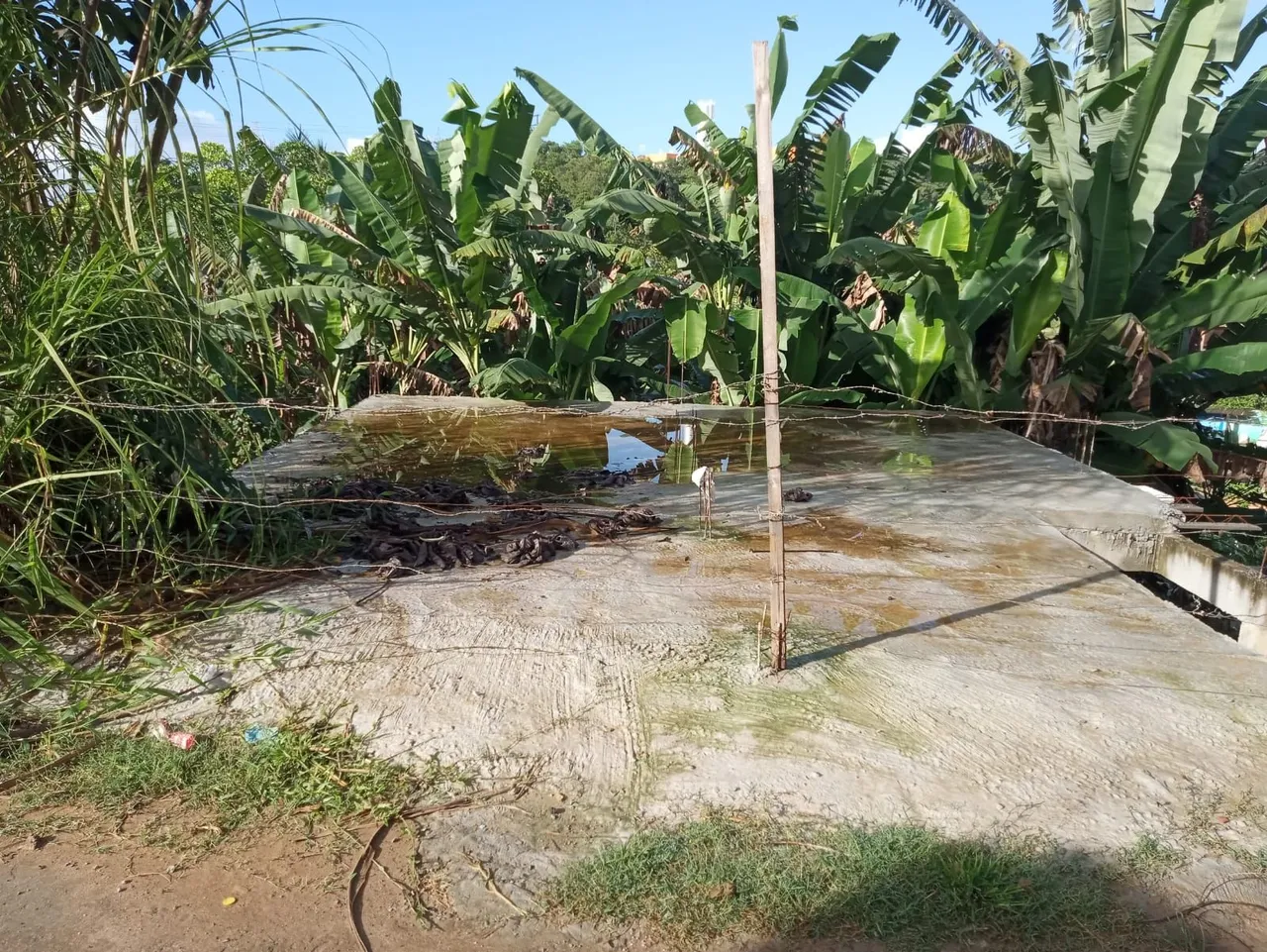 Terreno com laje batida
