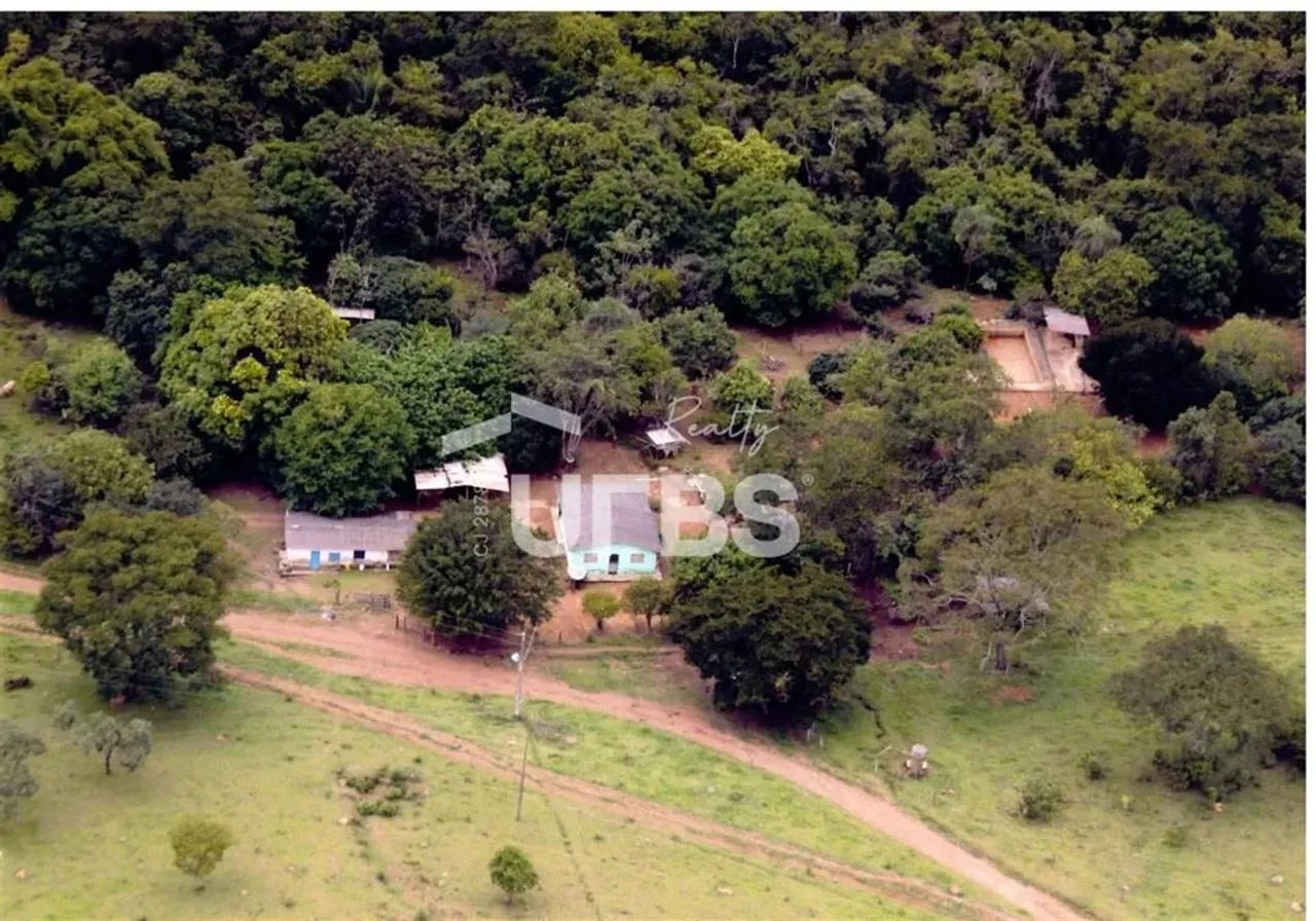 Fazenda Ponte de Pedra a venda, localizada em Corumbá de Goiás  tradição, abundância hídri - Foto 9
