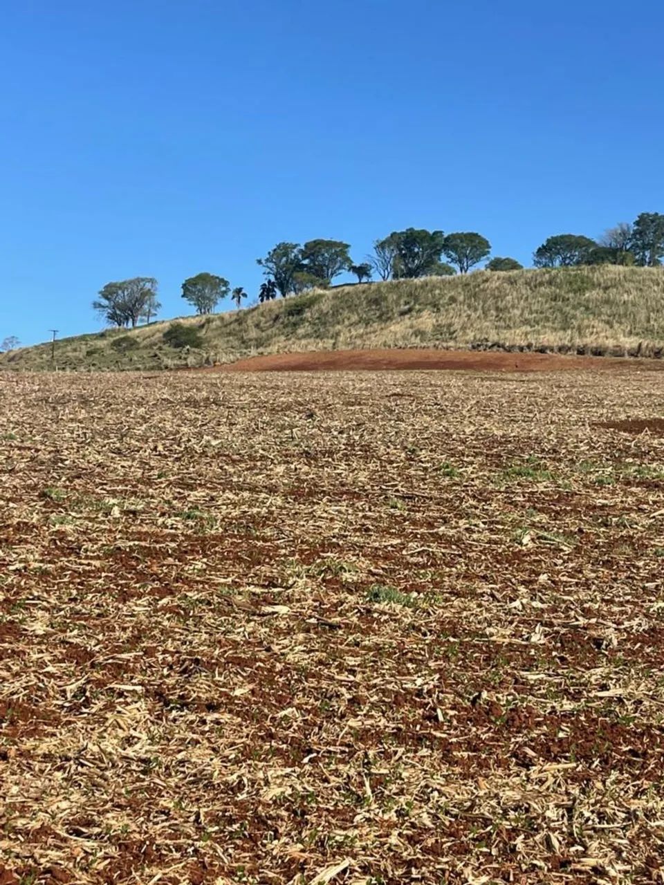 Fazenda Londrina -Pr  - Foto 4
