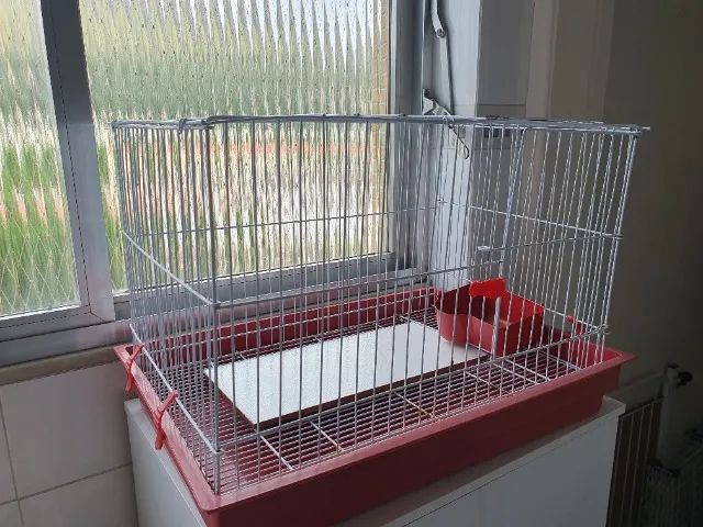 Gaiola para roedores