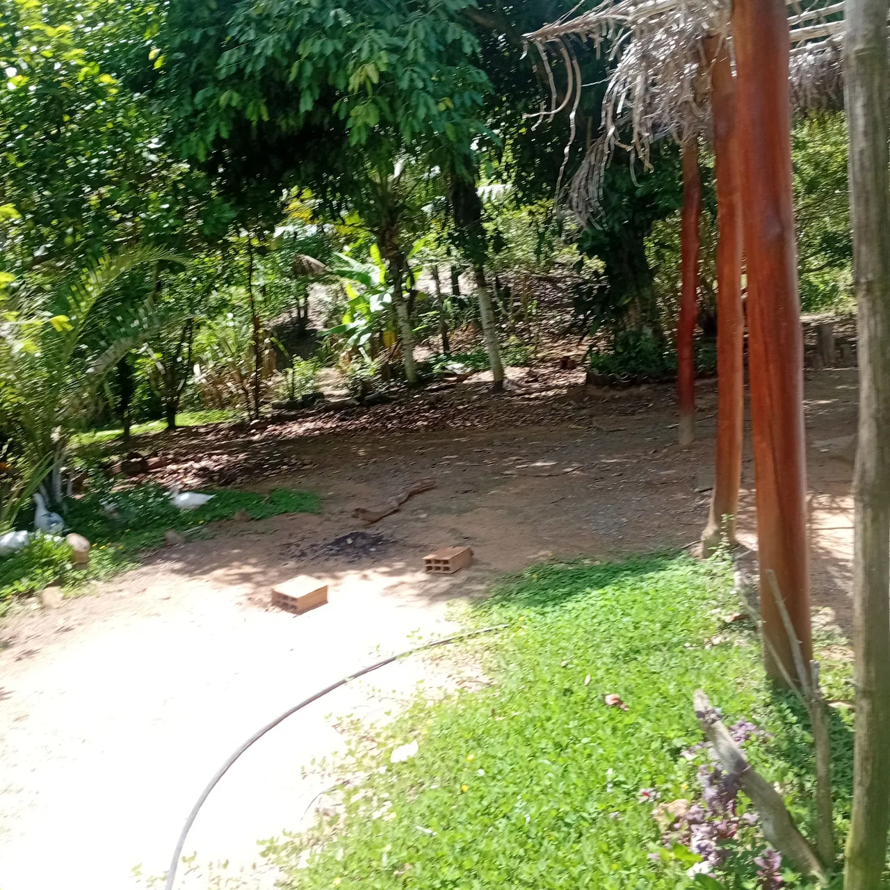 Últimos terrenos em condomínio rural ,5km da praia de Imbassai