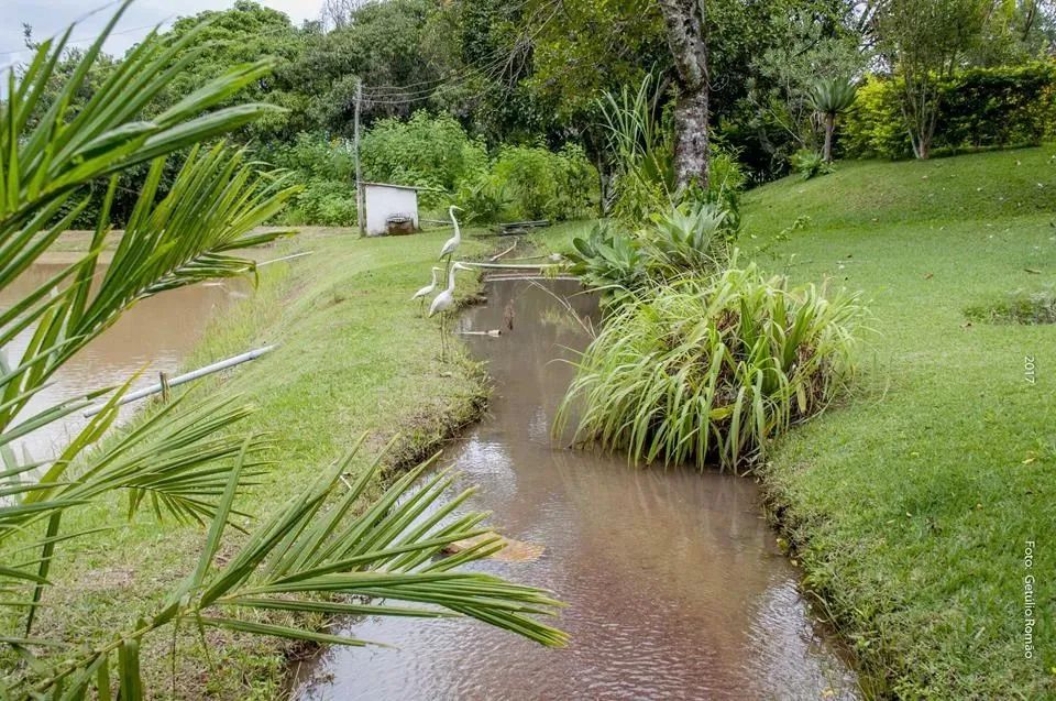 Sítio em Brazlandia -DF, 48ha, escriturado - Foto 10