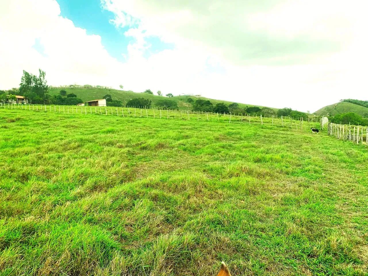 Fazenda de 194 tarefas - Foto 5