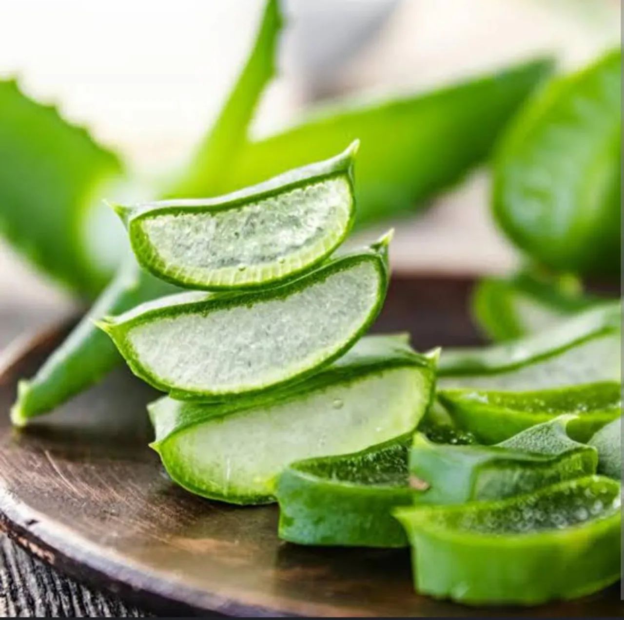 Babosa Aloe Vera 