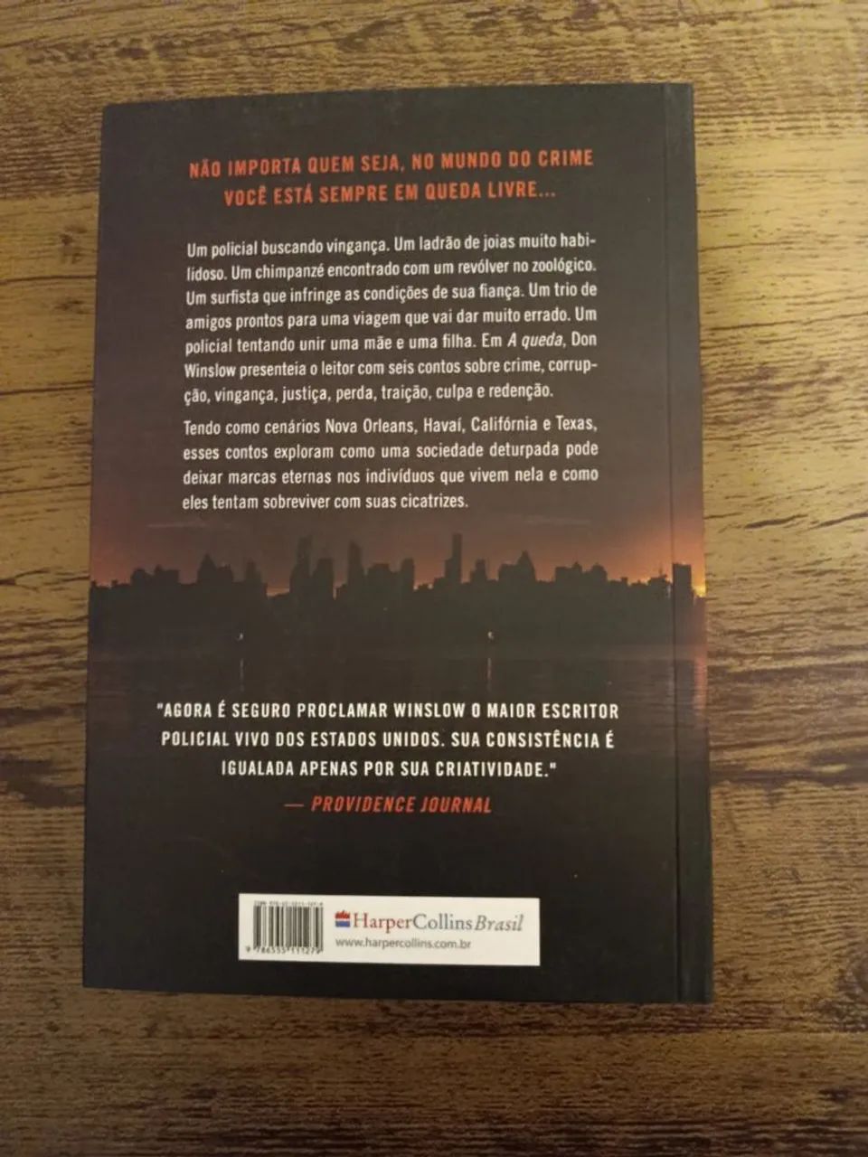 Livro A Queda - Foto 2