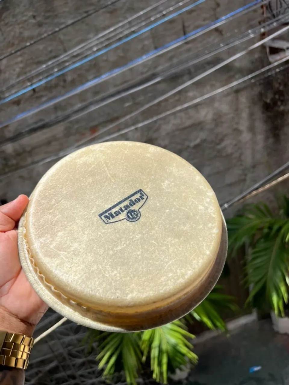 Bongo pele LP matador