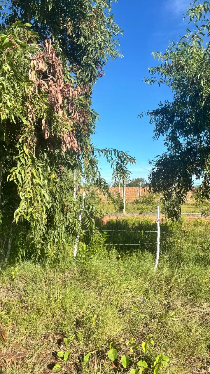 Alugo Terreno em Marechal Deodoro