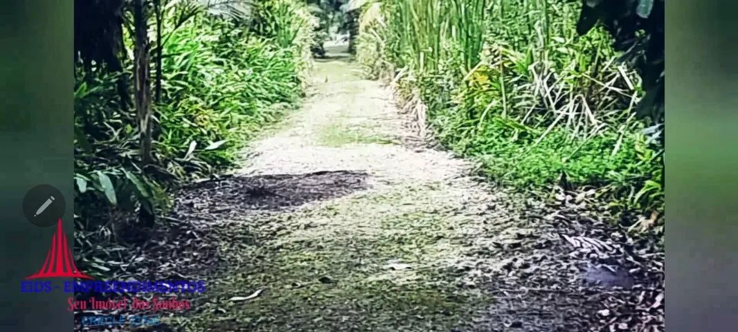 Chácara em Praia de Leste, Com Fundos para o Rio Guaraguaçu. - Foto 2
