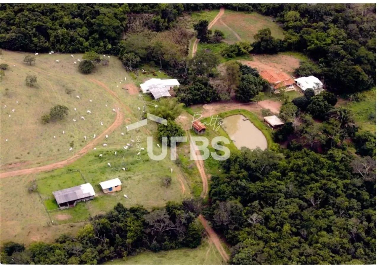 Fazenda Ponte de Pedra a venda, localizada em Corumbá de Goiás  tradição, abundância hídri - Foto 8