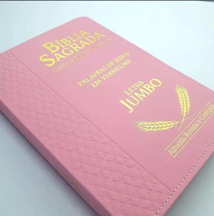 Bíblia sagrada letra gigante 