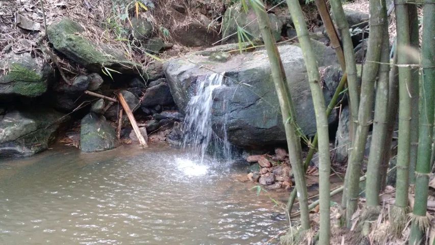 TERRENO COM FANTÁSTICA VISTA EM MULUNGU - SERRA DE GUARAMIRANGA - Foto 2