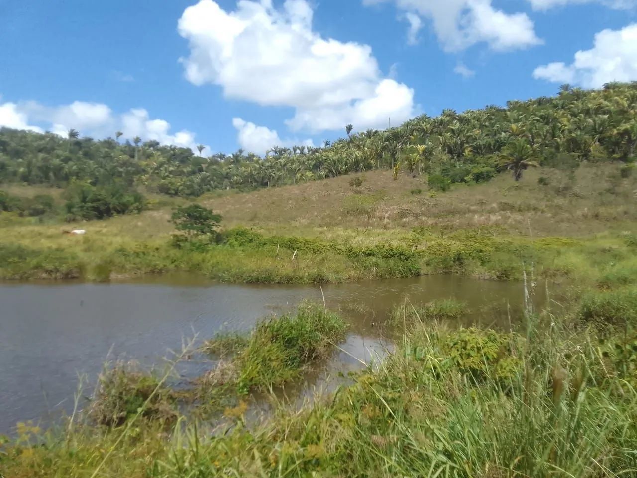 Sitio em Flexeira  - Foto 2