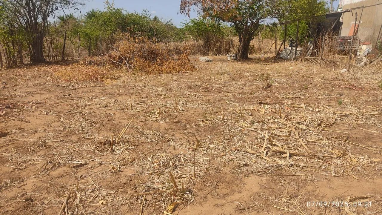 Vende-se Esse terreno 13x25 Próximo a Cidade de Picos  - Foto 3