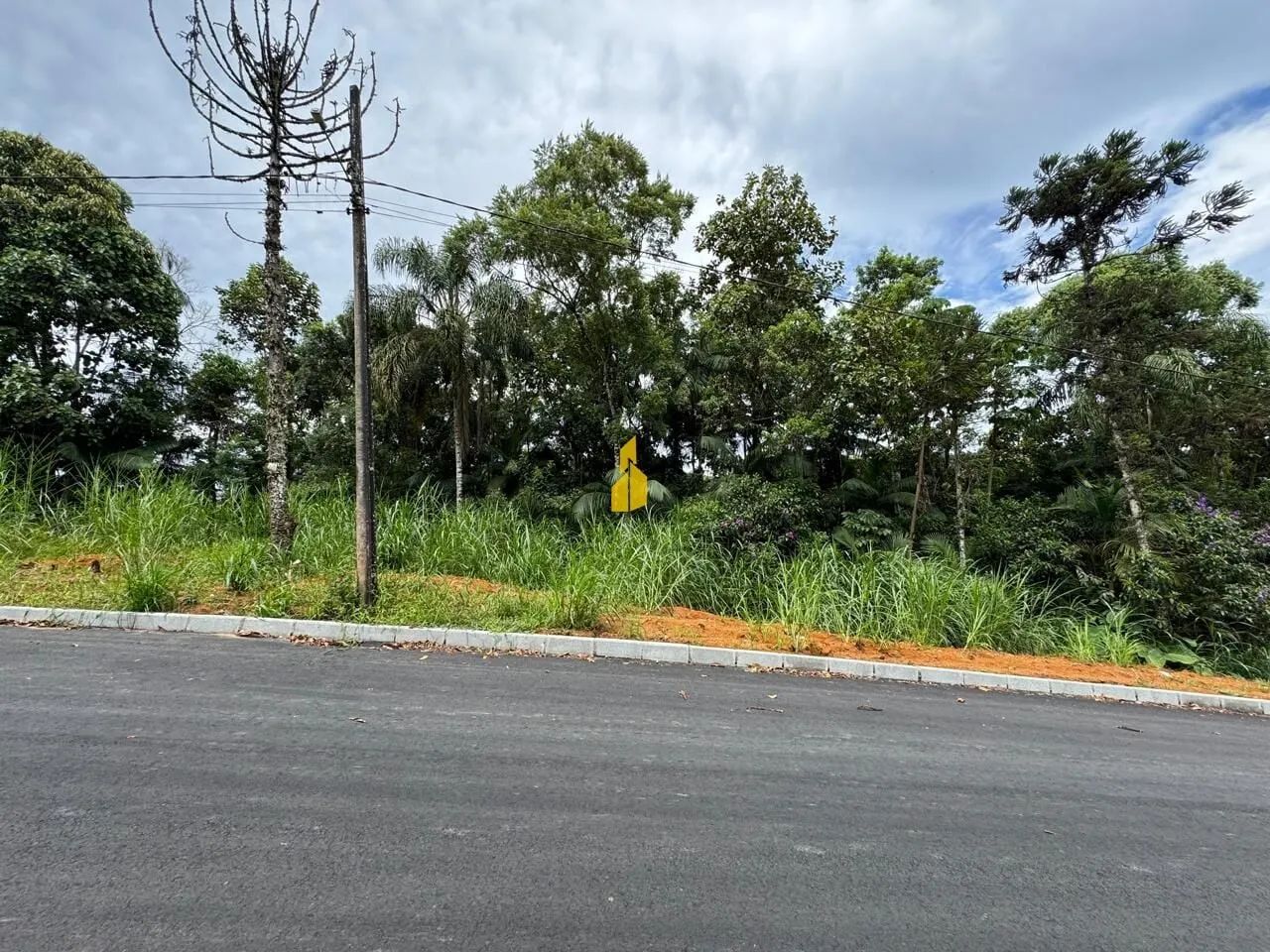 Terreno em Quintino, Timbó/SC - Foto 4