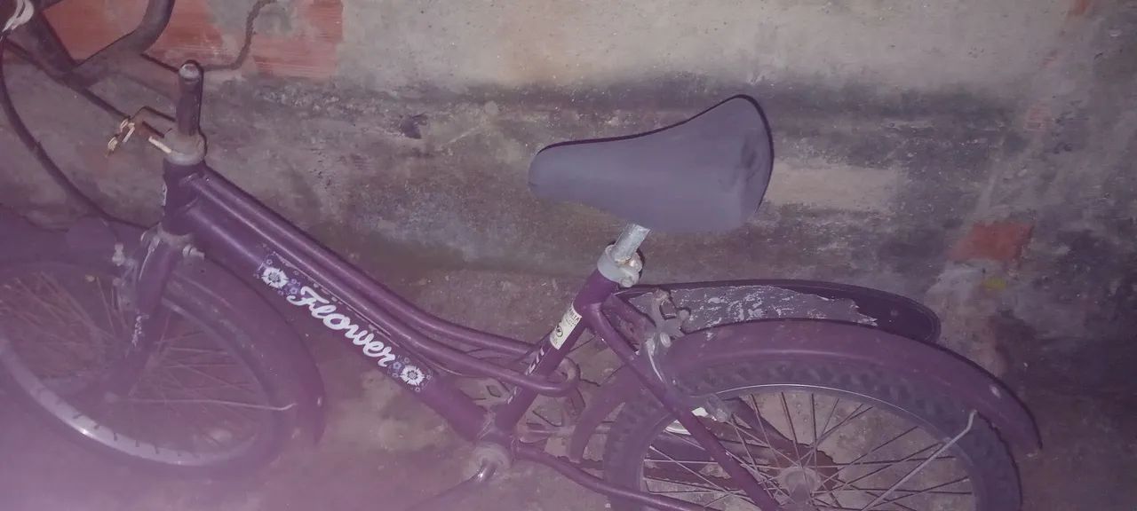 100 as duas Bicicletas - Foto 5